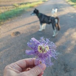 Meet your Posher, Kristen